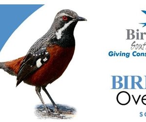 Flight for Birders course